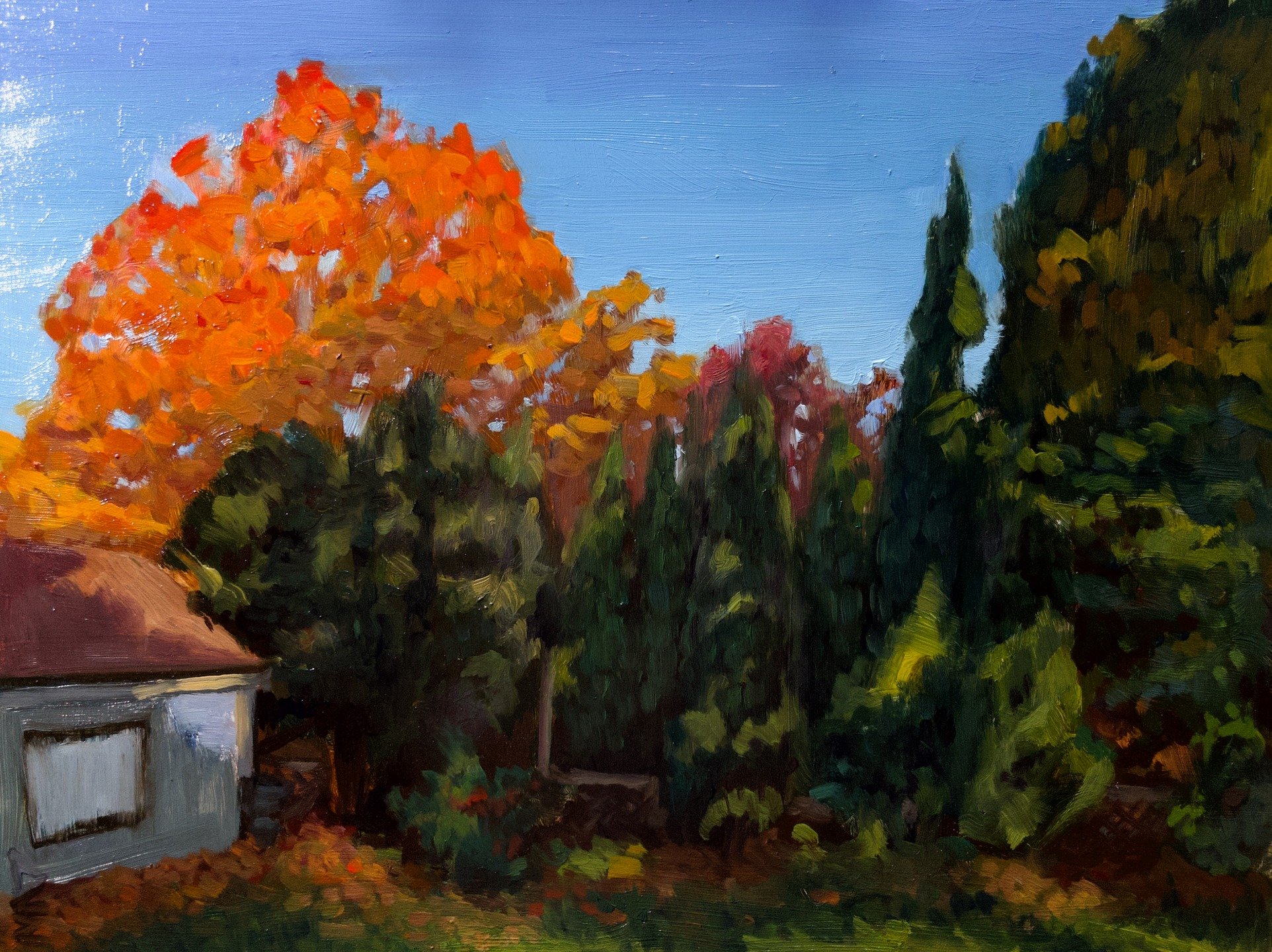 This'll be my first fall in Massachusetts so I'm commemorating it with a backyard plein air painting. This is a rare instance of me using a blue other than ultramarine (PB15:4 to be exact which is a cyan shade of phthalocyanine blue with a more subtl