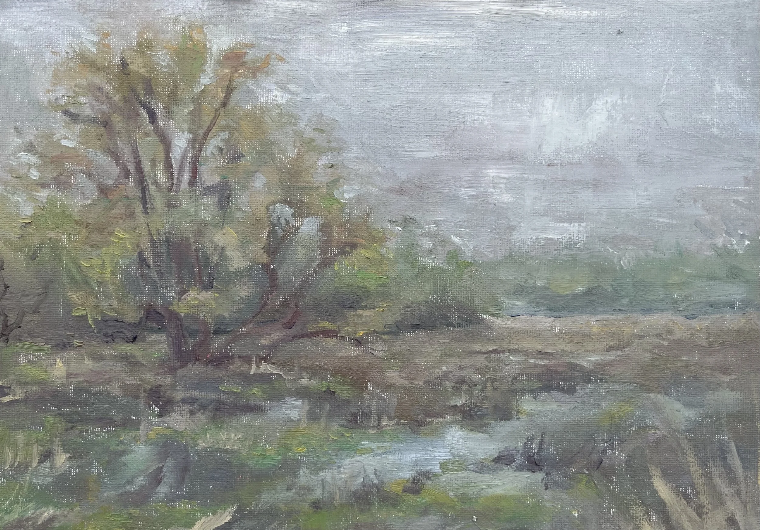 Loblolly Marsh - 9"x12", Oil on canvas over panel