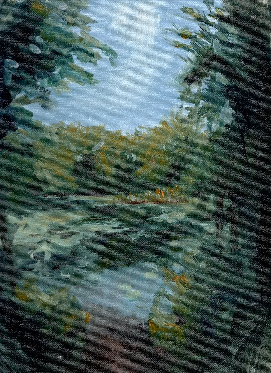 Morses Pond - Wellesley, MA