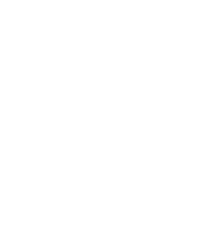 Immigration Advice