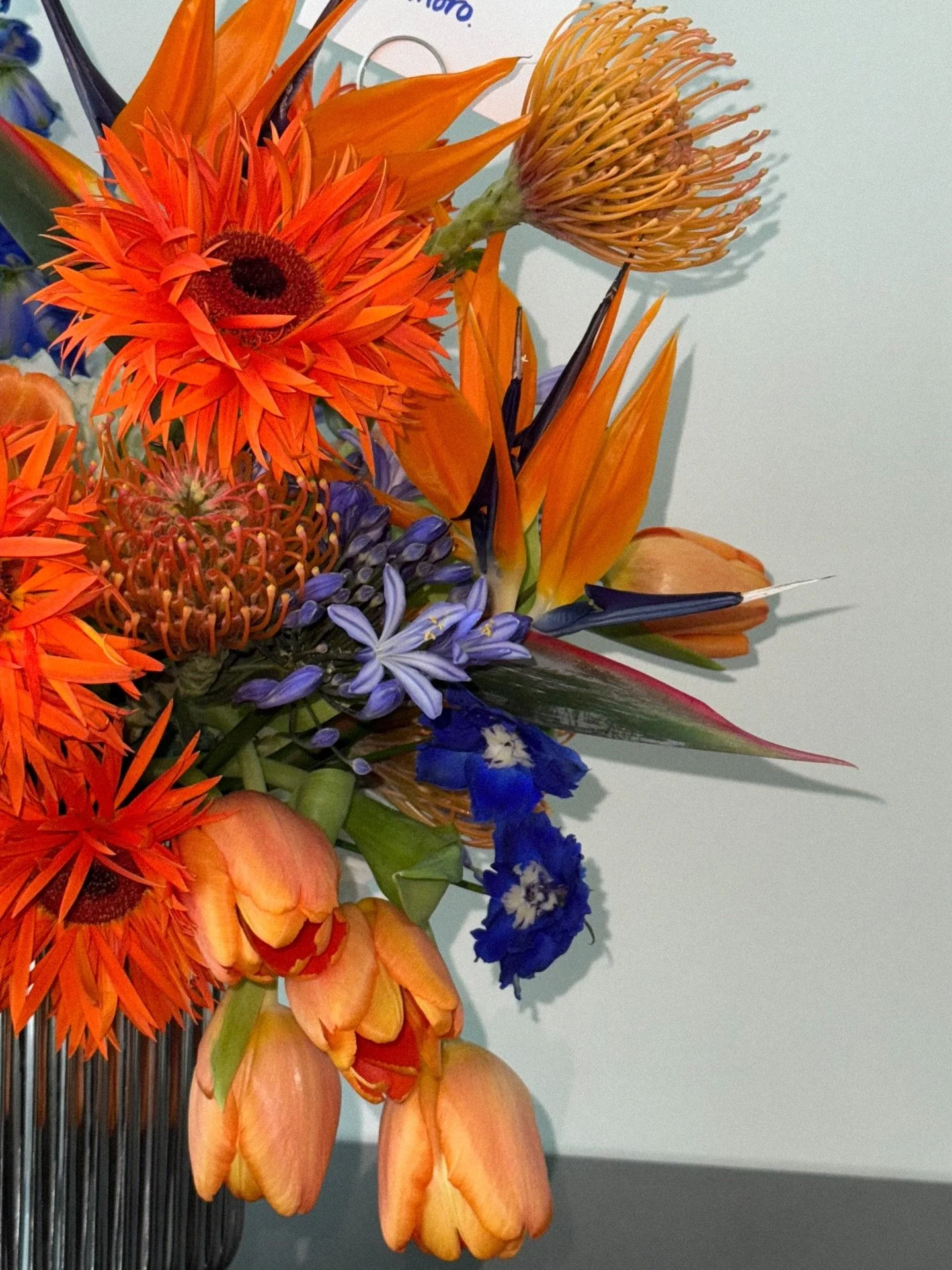 a celebratory piece for @nnoroindesign.

#floralarrangment #alienflora #flowers #silverflowers #blue