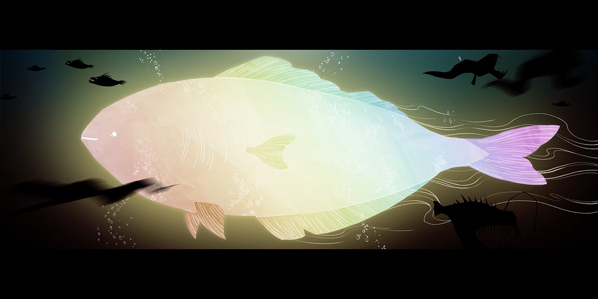 06_rainbowfish_v01sm.jpg