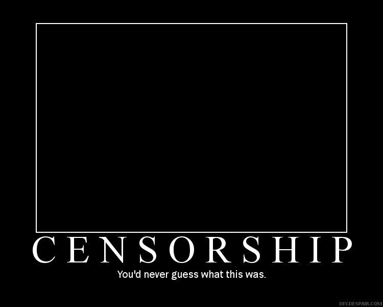 Online Censorship: Controlled by the Fuzzy Line