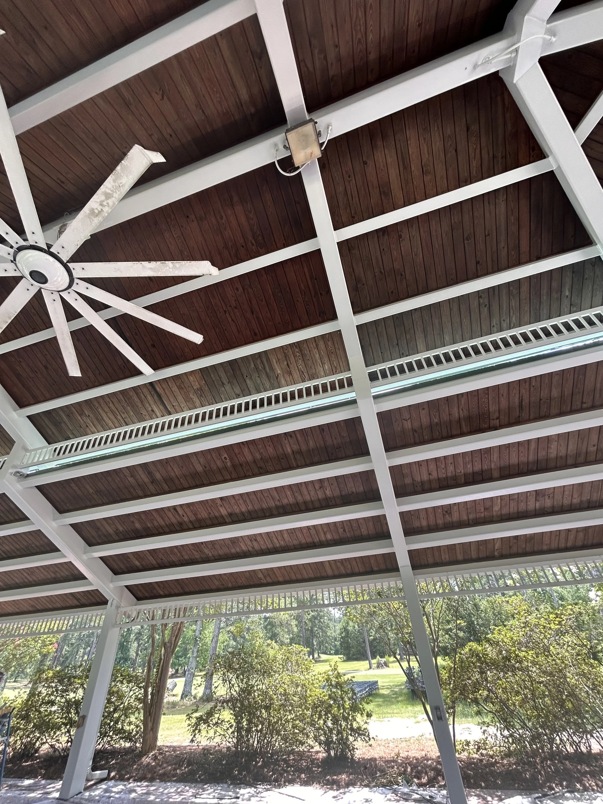 View of the underside of a patio cover with wooden panels and white beams, a ceiling fan, and a security light fixture, overlooking a backyard with grass, trees, and bushes.
