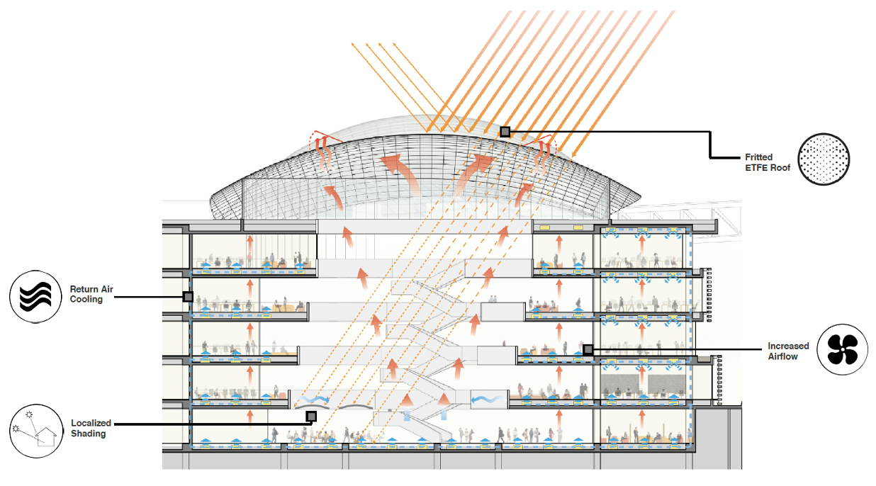 albert Einstein_moshe_diagram.png