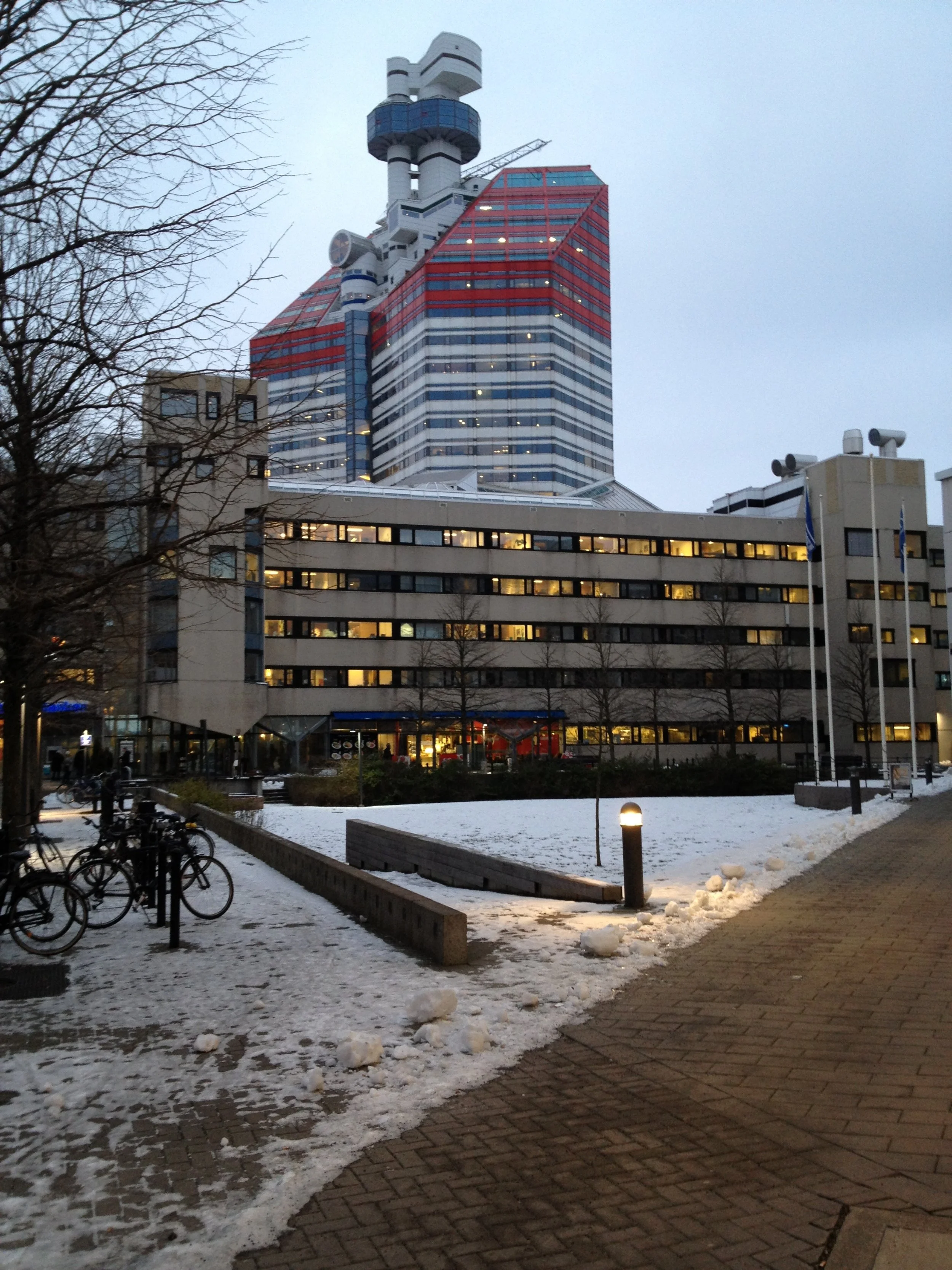 IMG_0113.jpeg