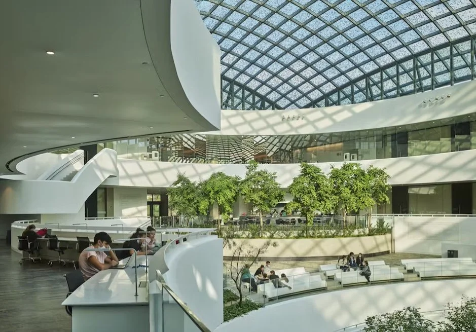 Image 6-2-25 at 5.29 PM.jpeg