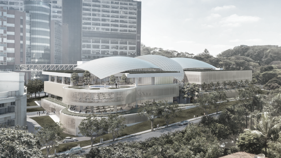 Albert Einstein_moshe_Render.png