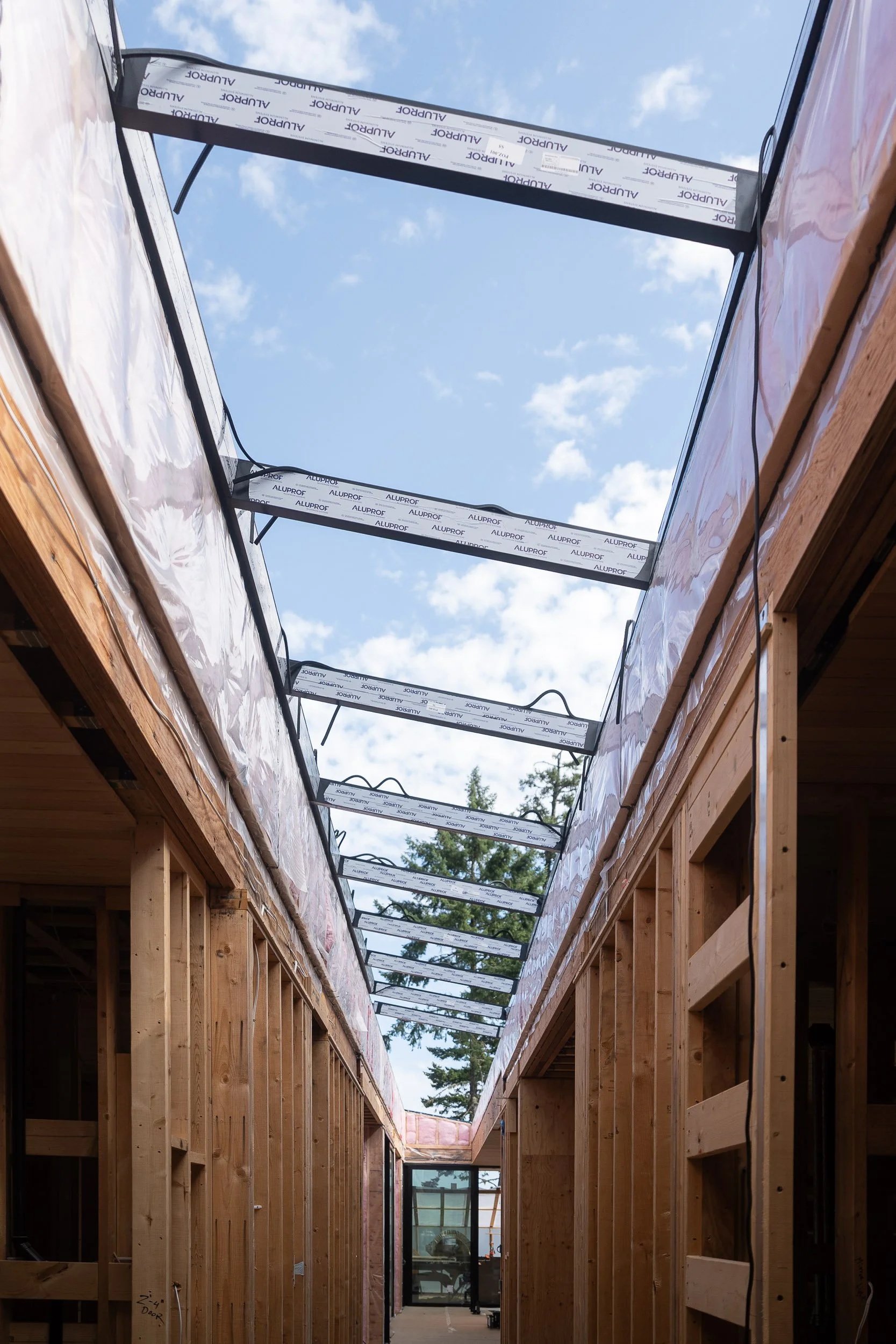 window-merchant-saltspring-frames-web-4.jpg