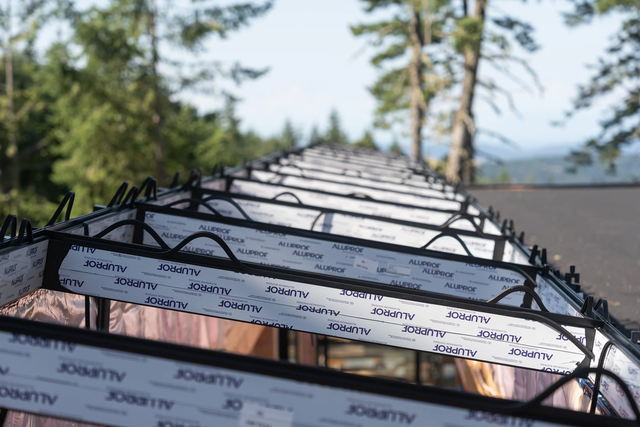 window-merchant-saltspring-frames-web-19.jpg
