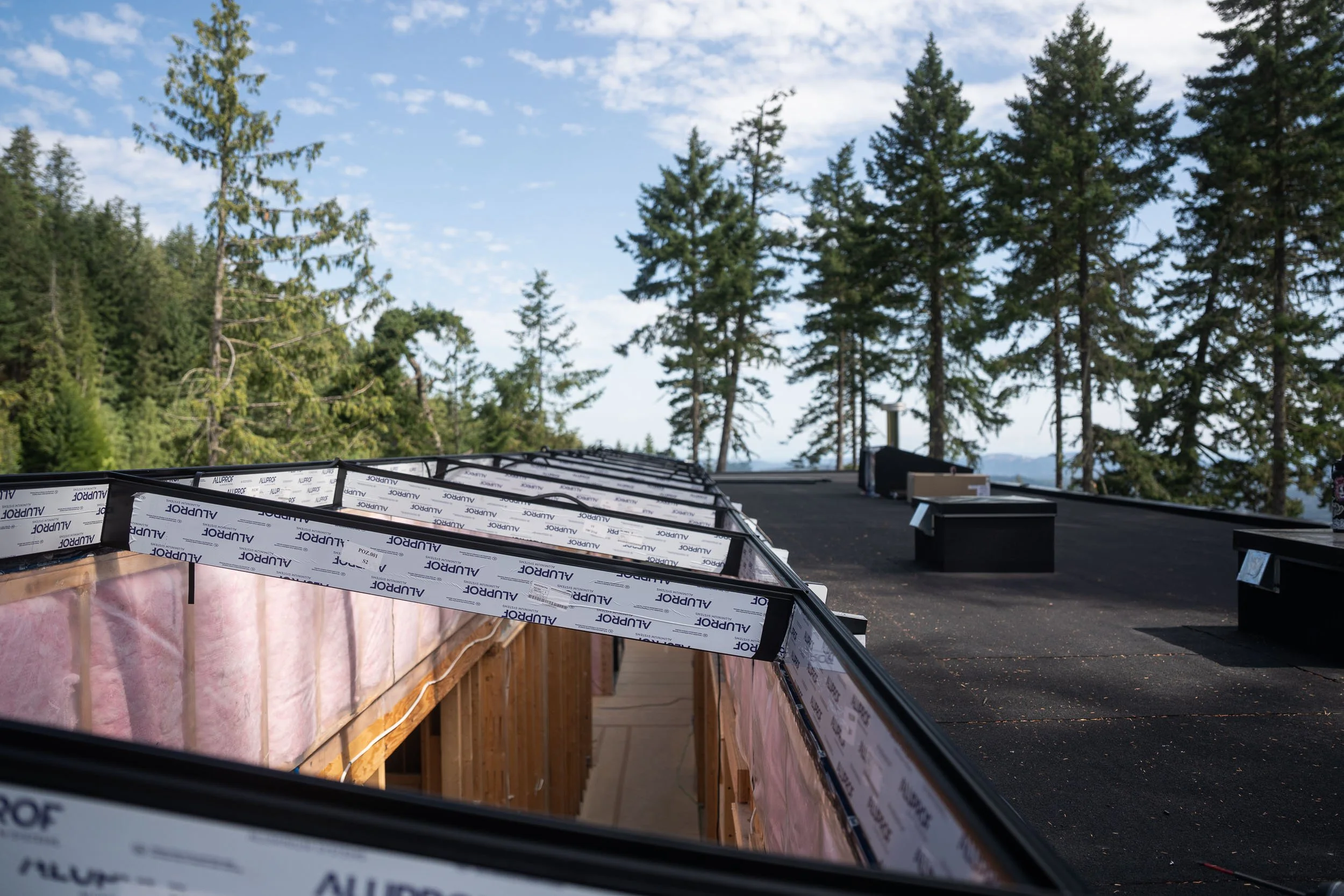 window-merchant-saltspring-frames-web-7.jpg
