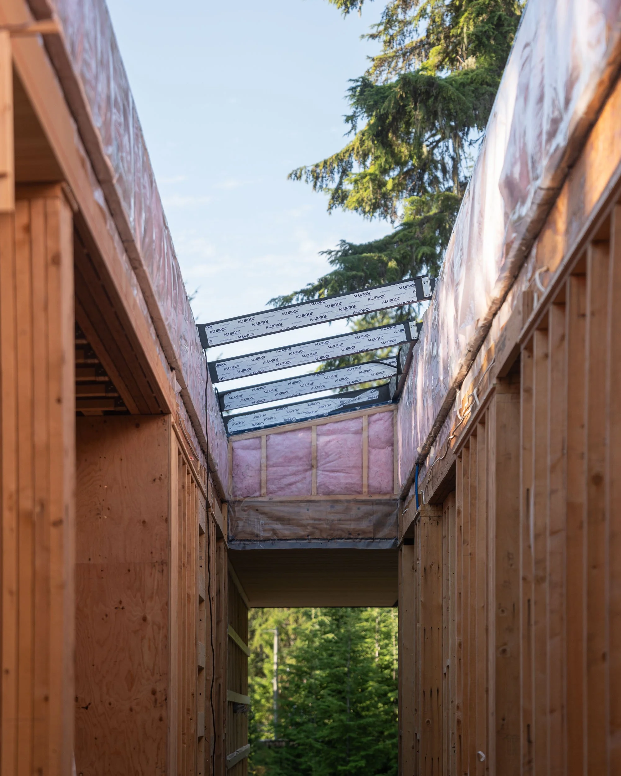 window-merchant-saltspring-frames-web.jpg