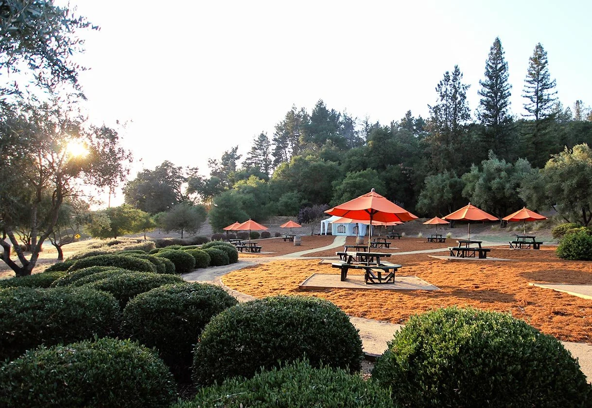 Faireinds-Winery---Picnic-Area_005-small.jpg