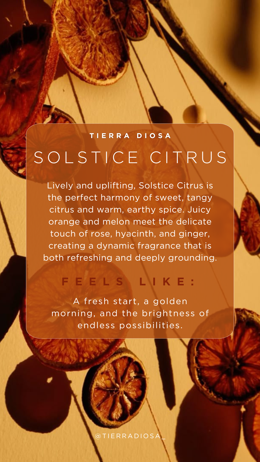 Dried orange slices hanging on a plant with warm lighting, overlaid with a quote about Solstice Citrus scent.