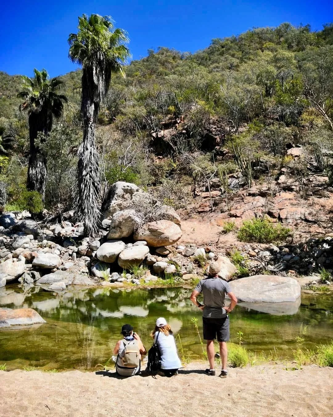 Hikers exploring a natural canyon and oasis in Los Cabos