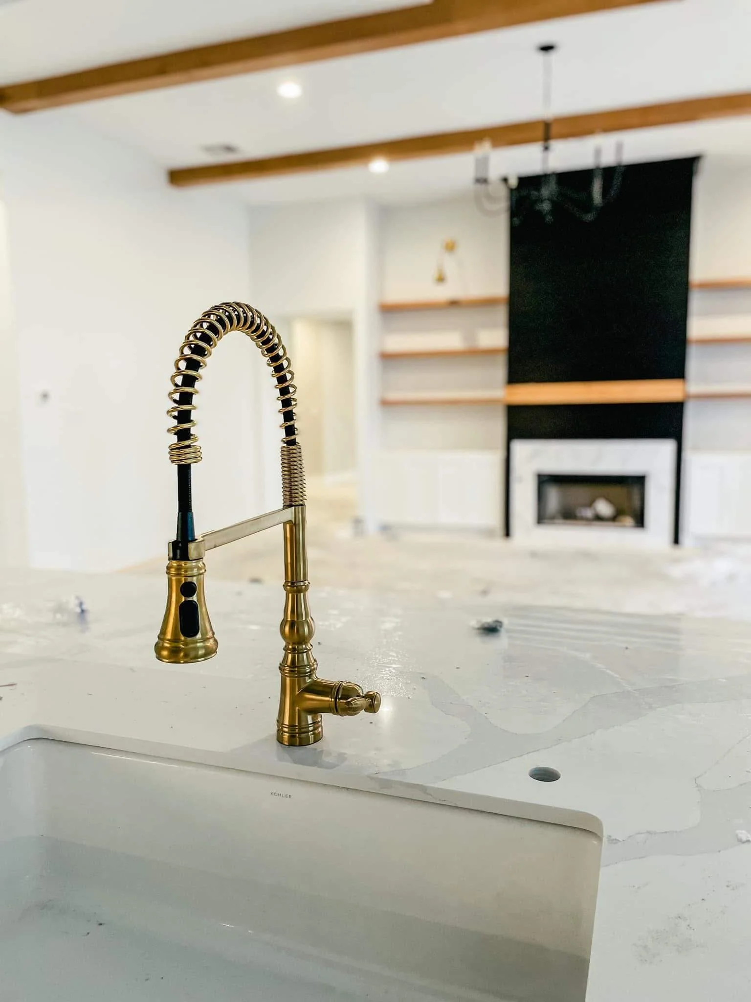 Gems-Custom-Homes-Luxury-Premier-New-Construction-Mont-Belvieu-Kitchen-Sink.jpg