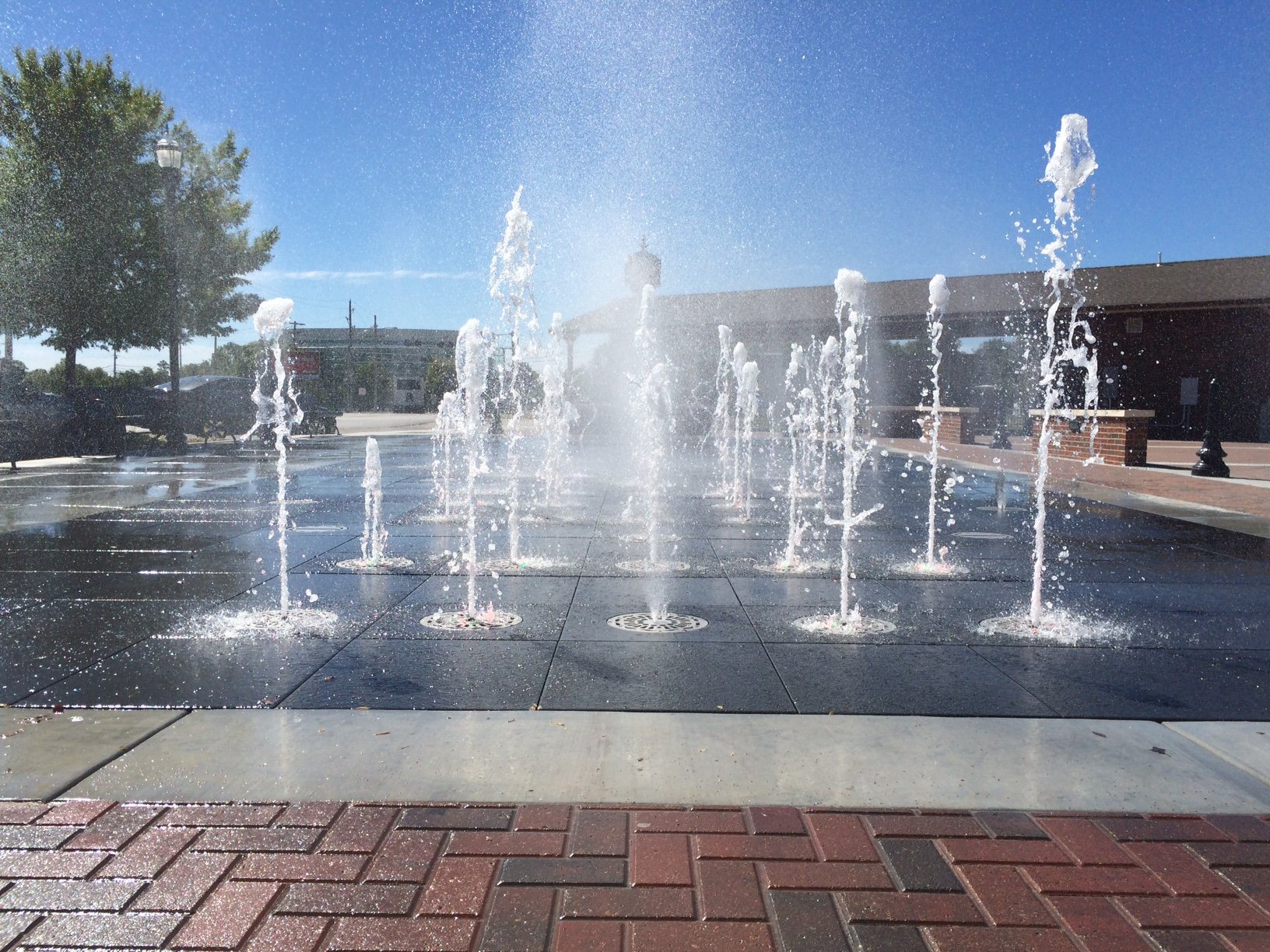 BA Rose District WF 01.jpg