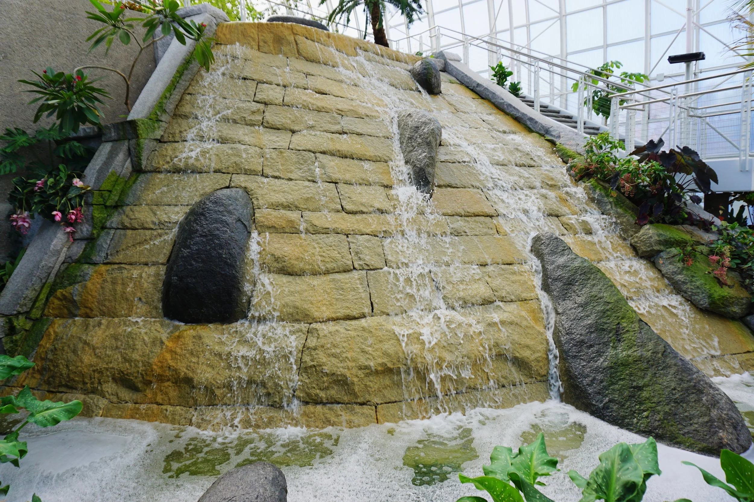 Crystal Bridge-Myriad Botanical Garden-11.jpeg