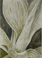 Green Awakening - E. Emmanuel