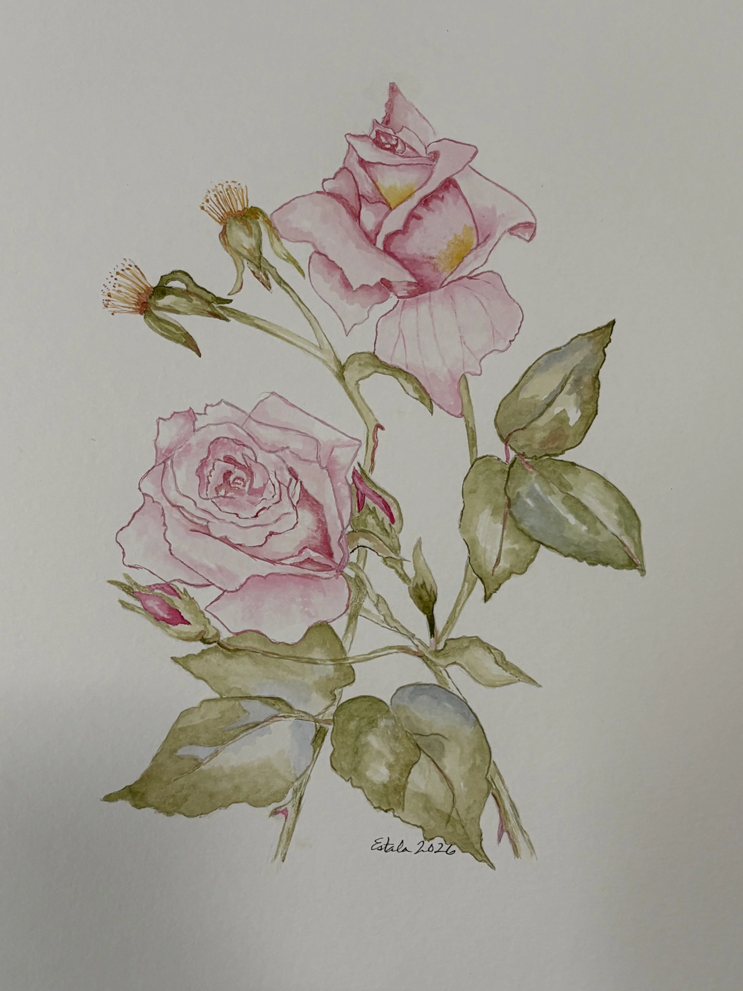 eemmanuel-rose.JPEG
