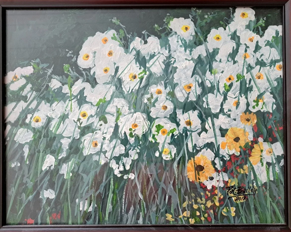 White Flowers at Goliad - P. Bailey