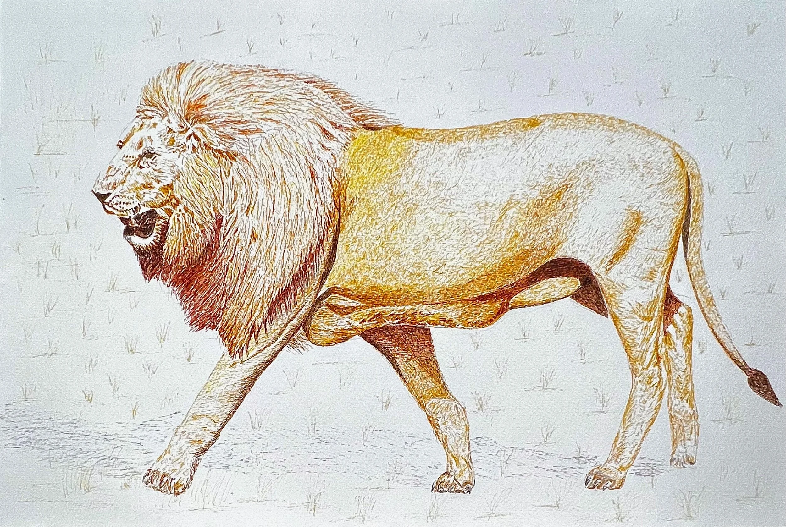 King on the move - G T Solanki