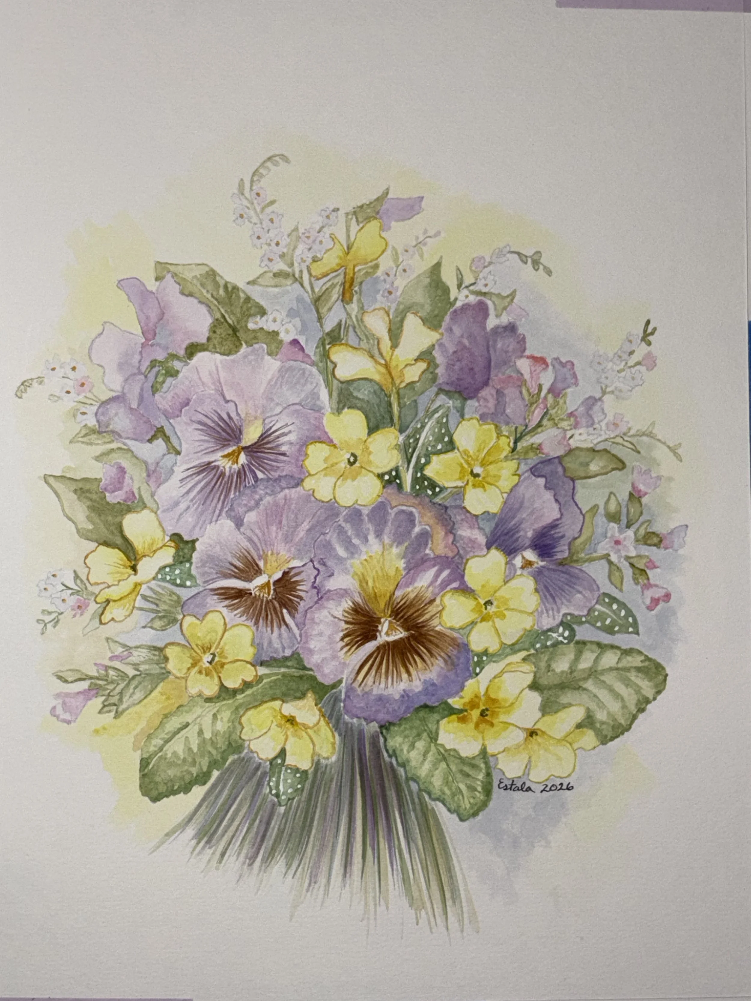 eemmanuel-pansy-&-primrose.JPEG