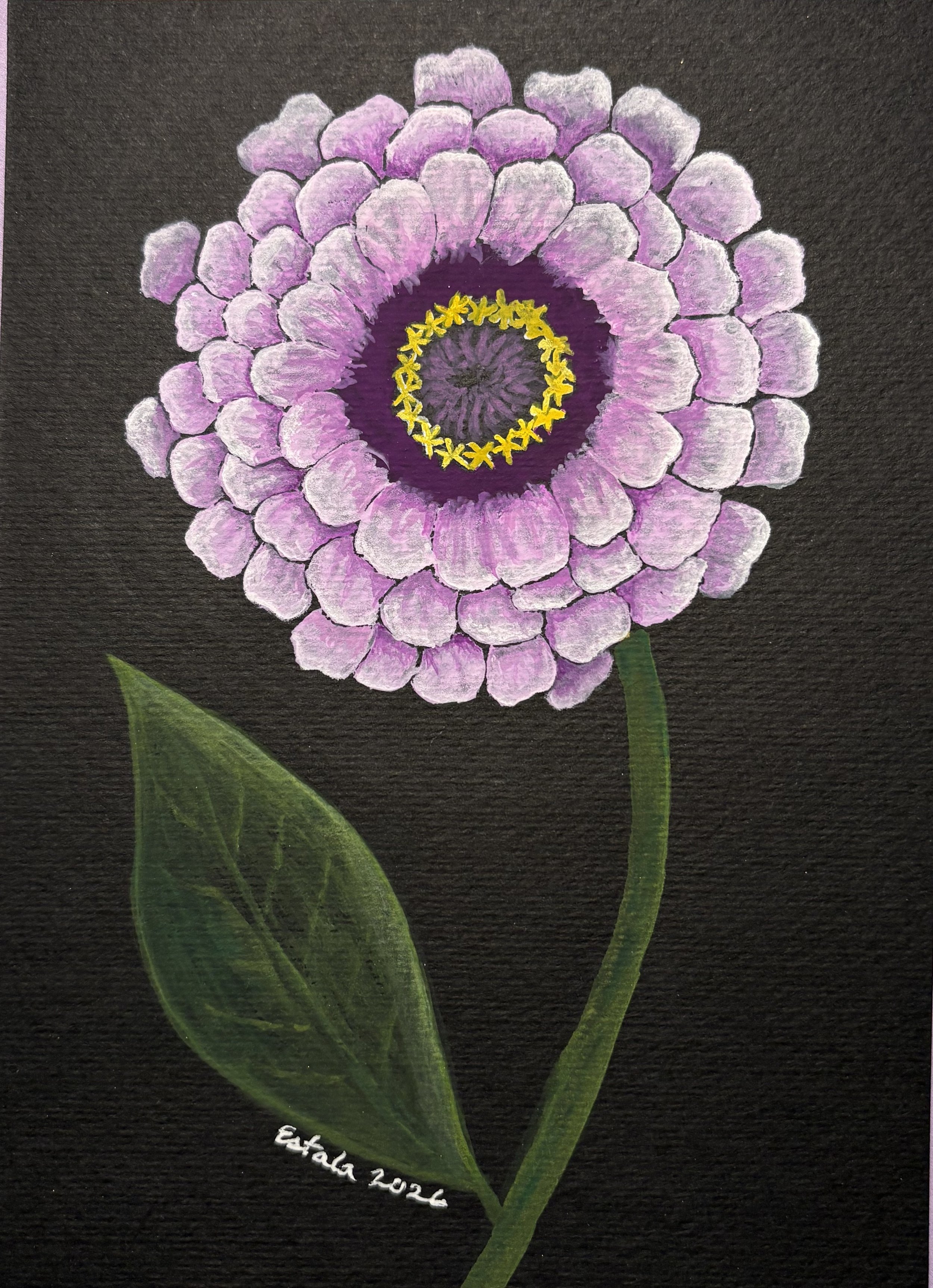 Zinnia at Midnight - E Emmanuel.jpeg