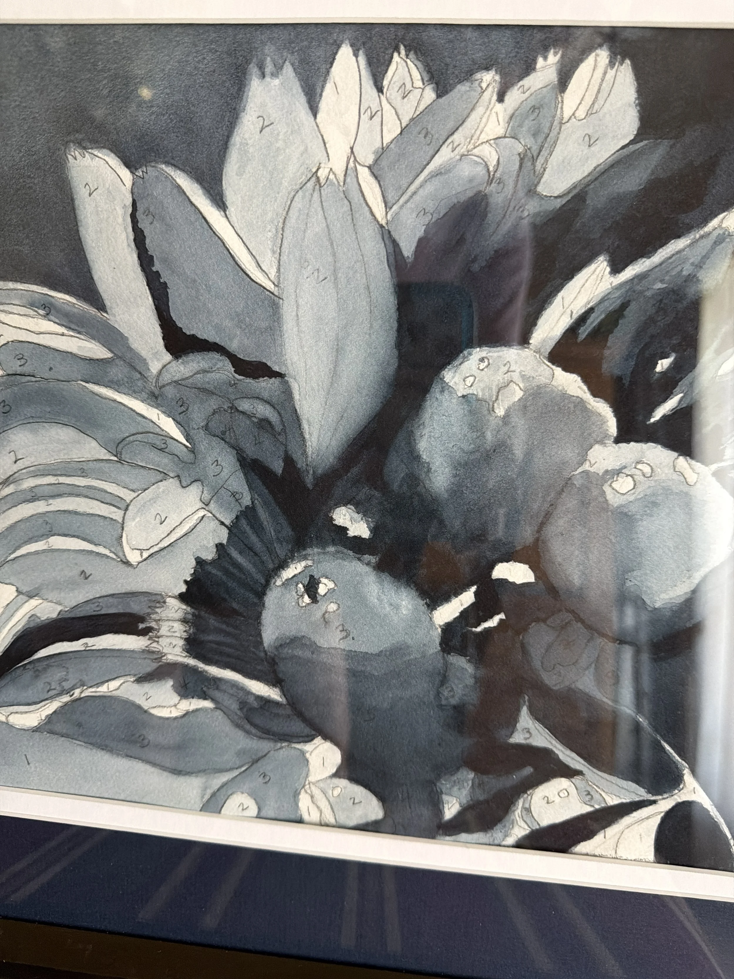 Value Study - D Hughes.jpg
