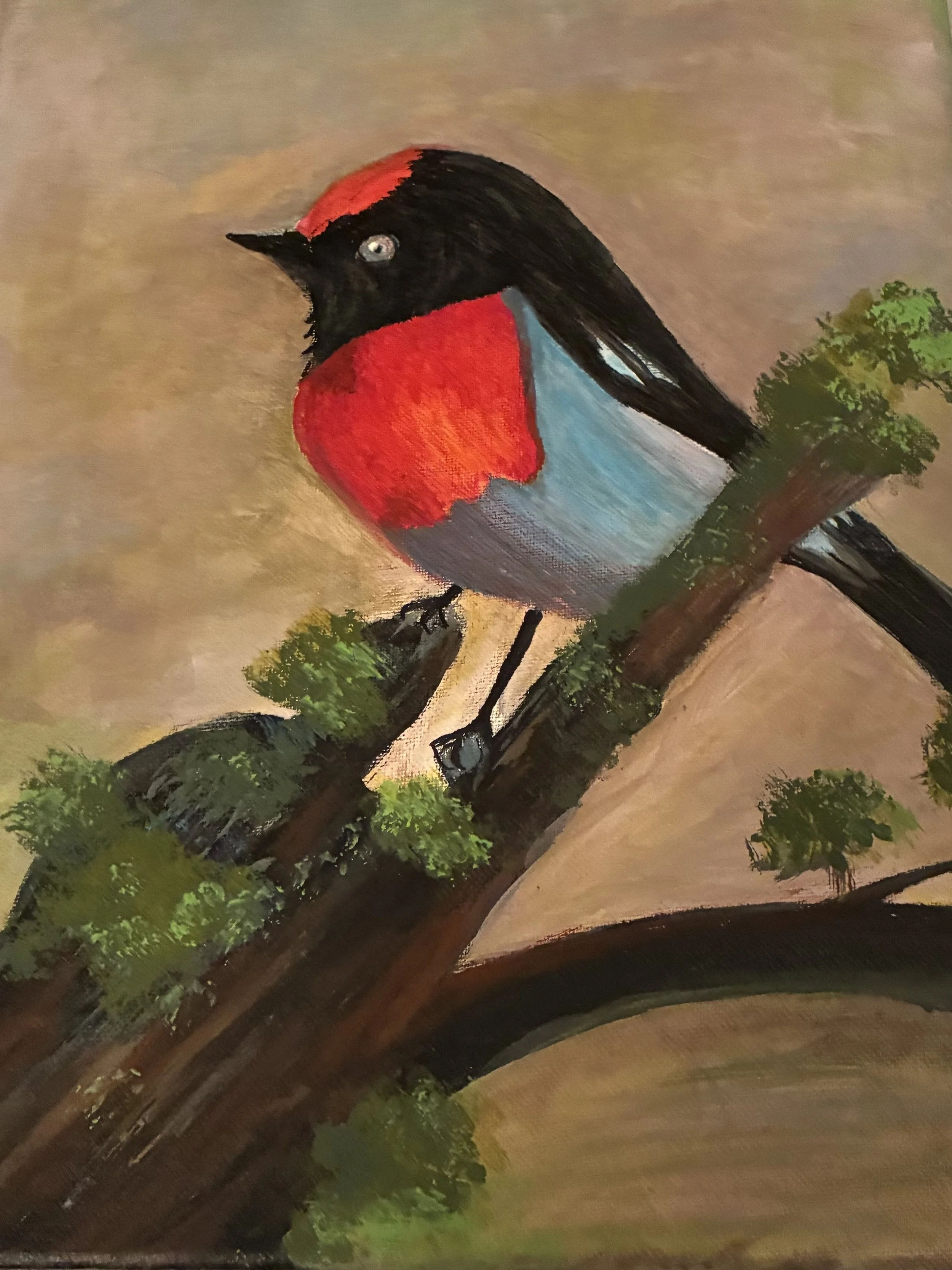 Bird Watch - B Kirkpatric.jpeg