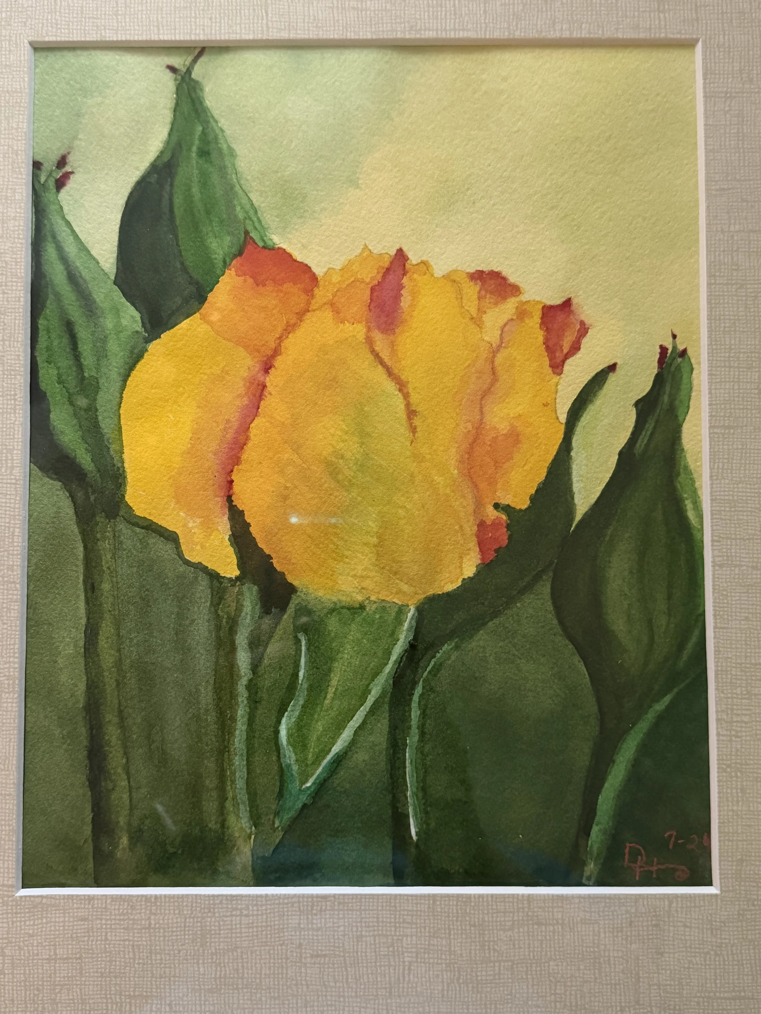 Sun Kissed - D. Hughes