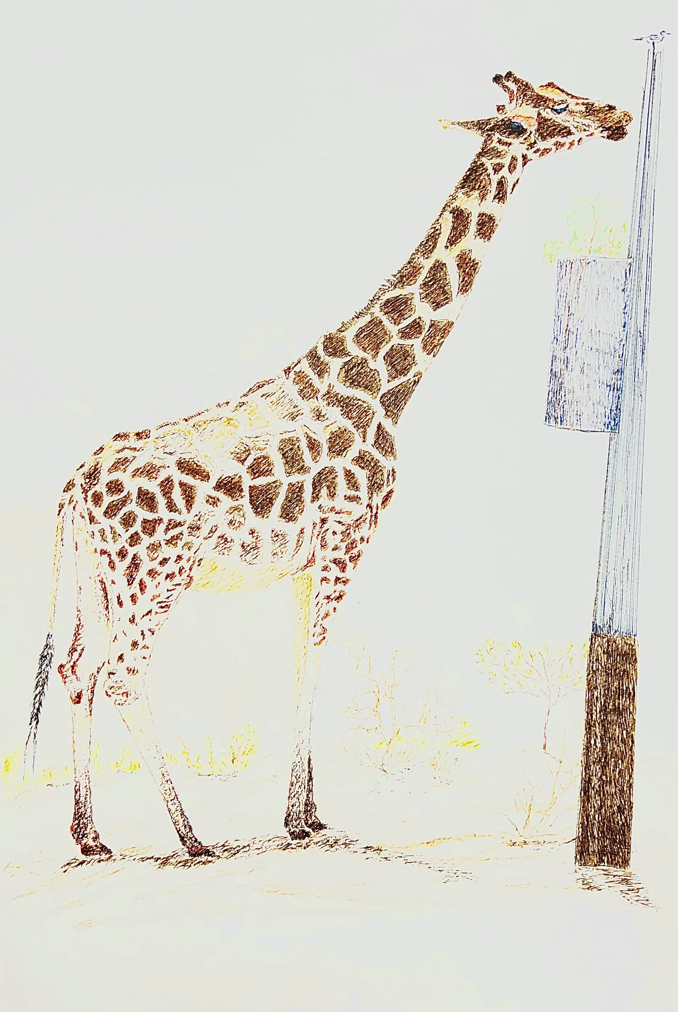 Tall Elegance - G T Solanki