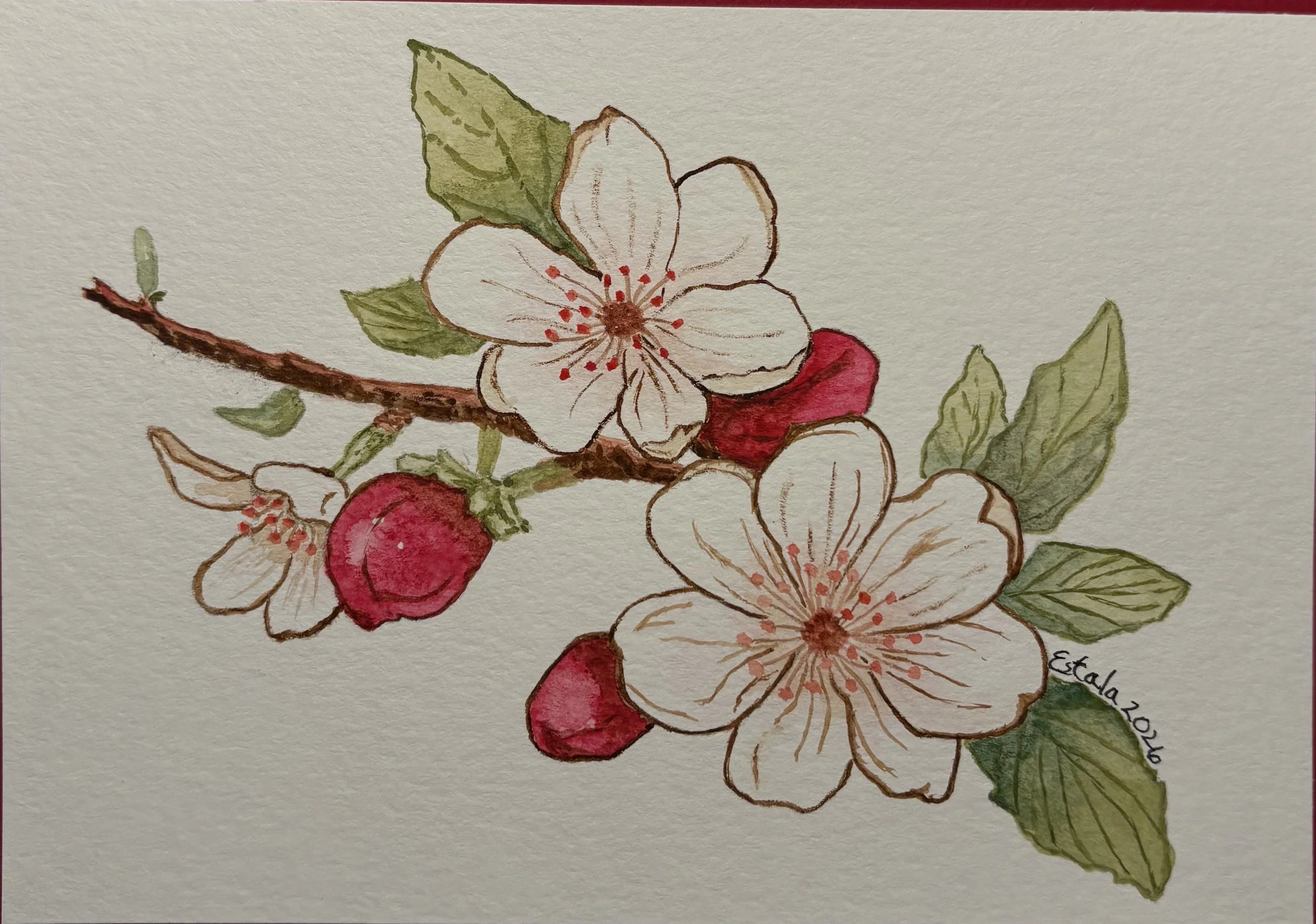Spring in Bloom - E Emmanuel.jpeg