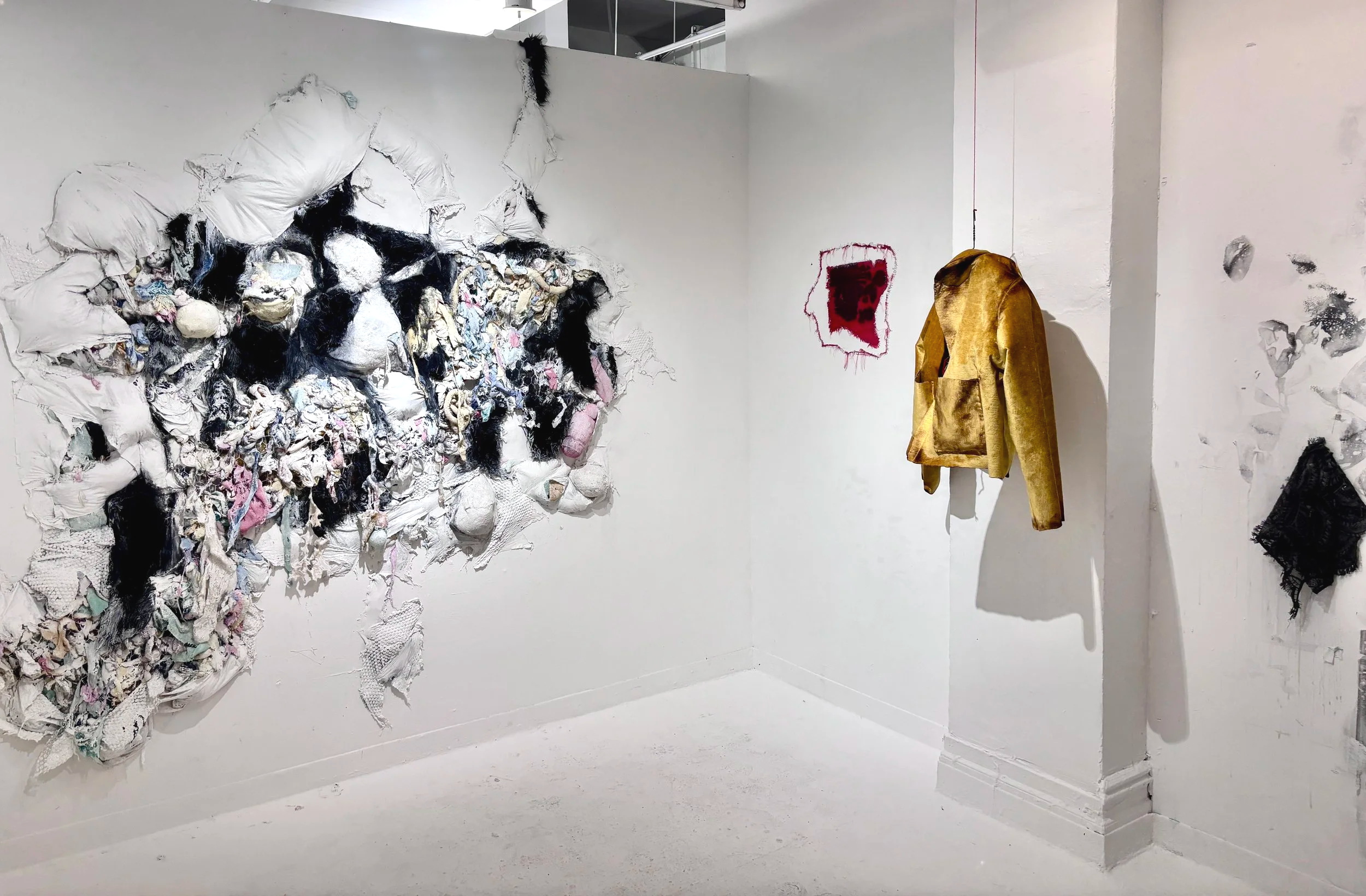 Installation Shot, School of Visual Arts, New York New York

Chicken wire, felt, bubble wrap, staples, India ink, silk, lace, paint

Dimensions variable

2026