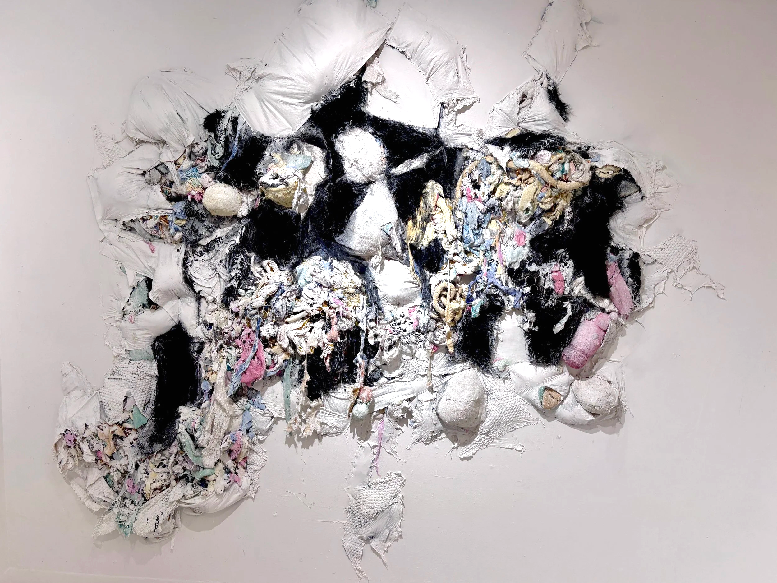 Installation Shot, School of Visual Arts, New York New York
Chicken wire, felt, bubble wrap, staples, India ink, silk, lace, paint
Dimensions variable
2026