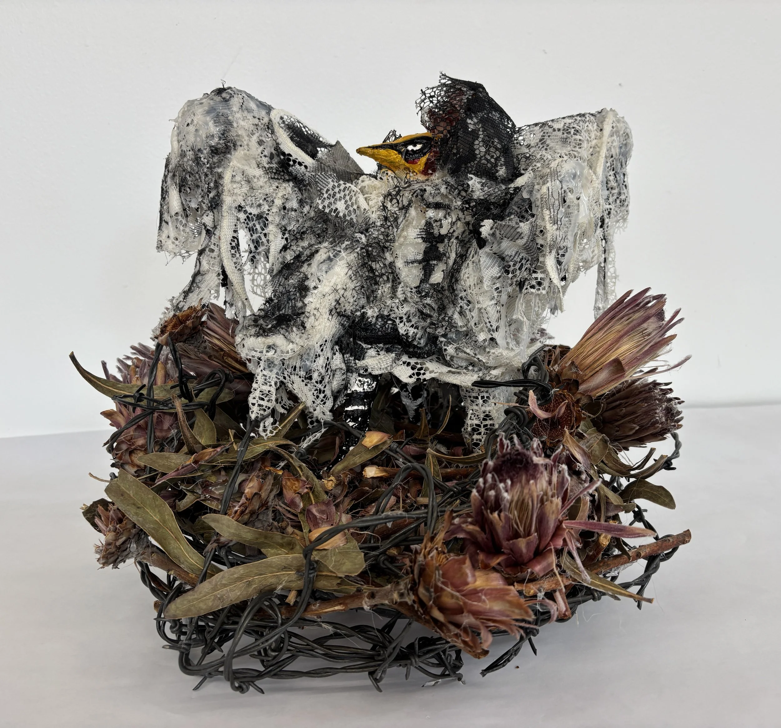 Battle Dance
Barbed wire, plaster gauze, dried flowers, acrylic paint, lace, India ink
18 × 14 × 18 in
2025