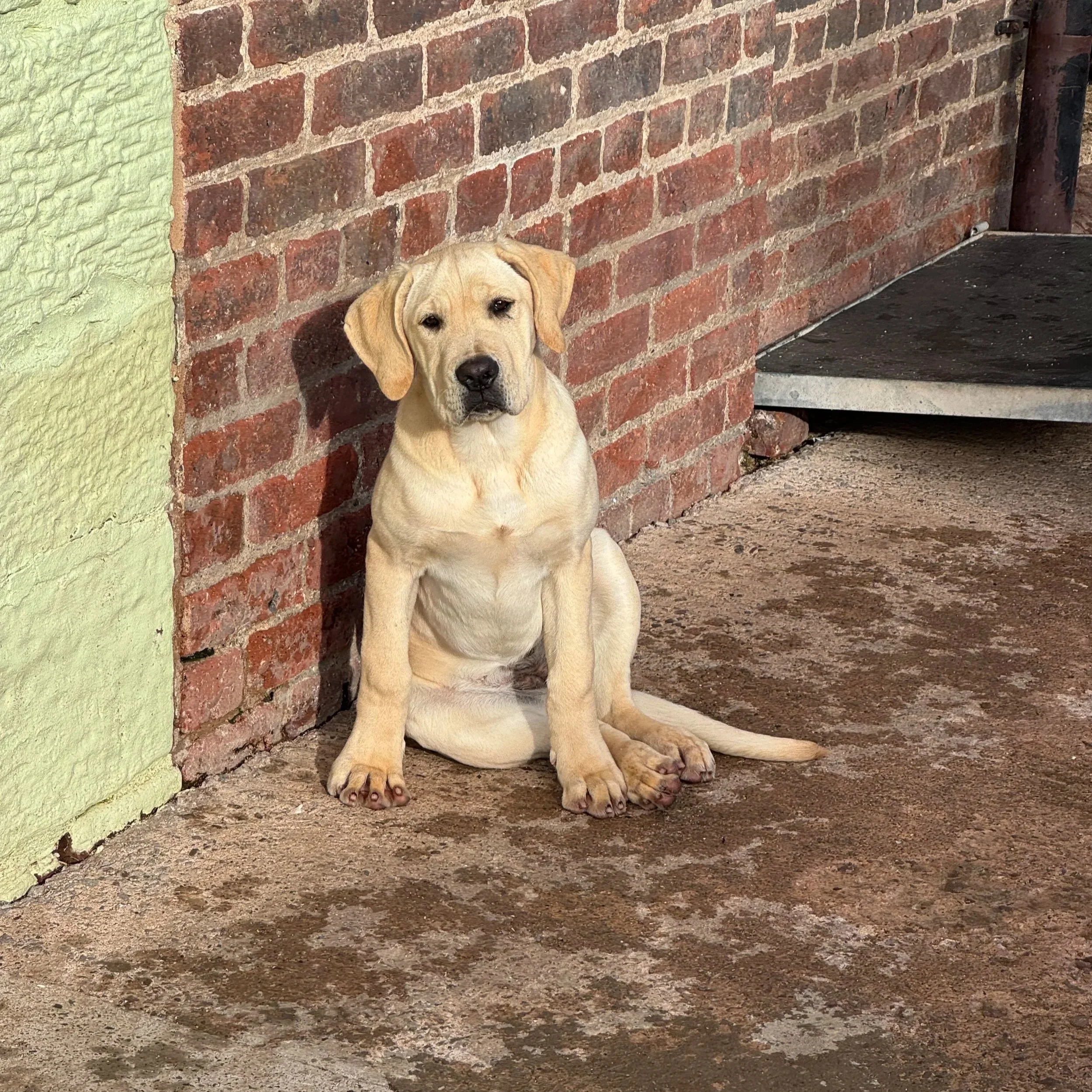 image0-1.jpg