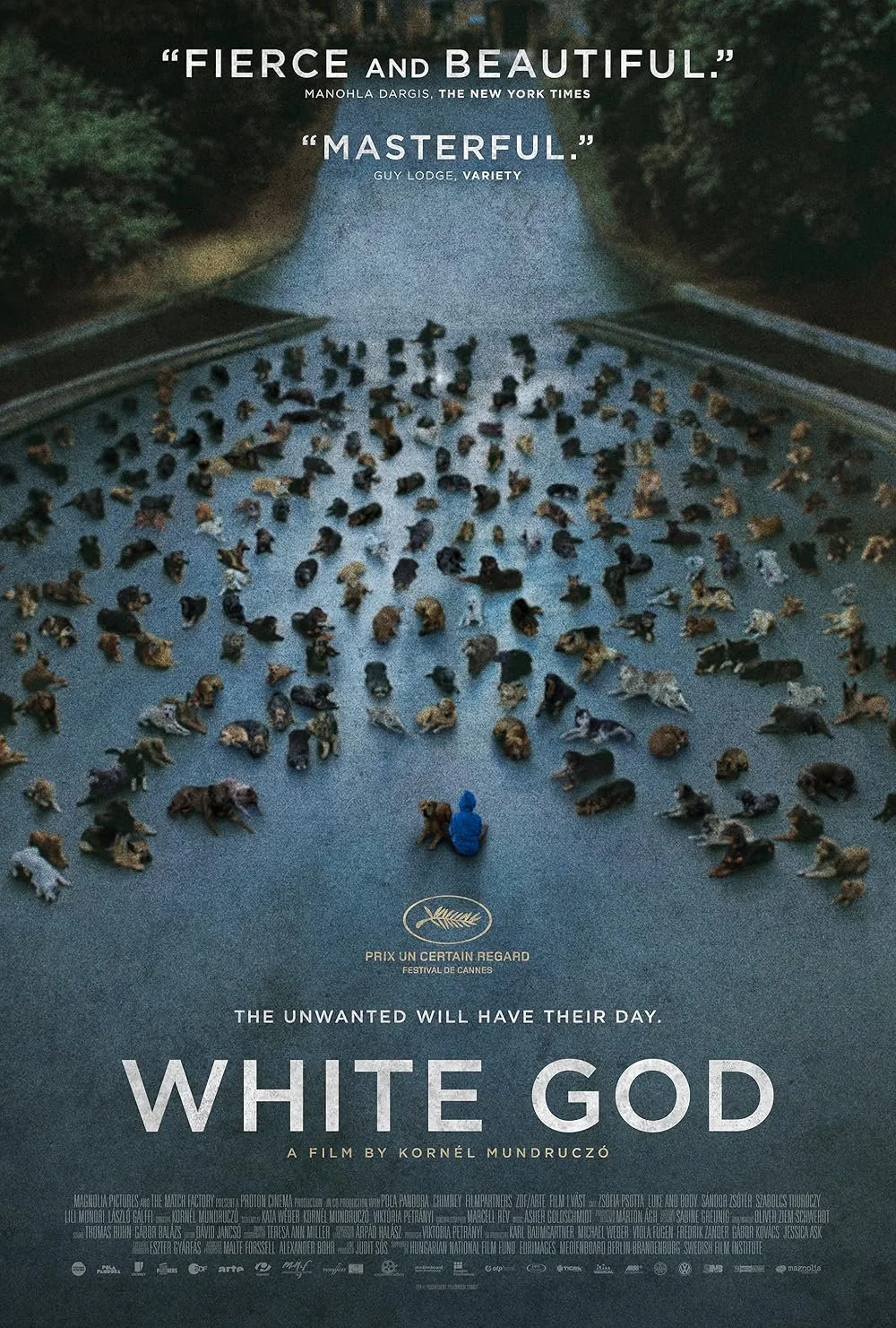 Movie poster for 'White God' showing a large group of stray dogs on an empty road, with a person sitting in the middle wearing a blue hoodie. The poster includes quotes, awards, and credits in white text.