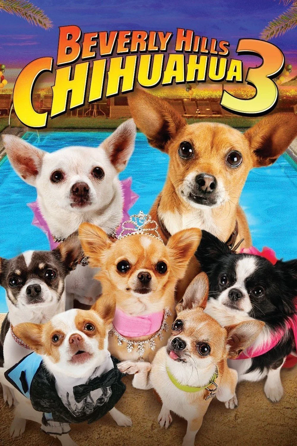 Cover of Beverly Hills Chihuahua 3 featuring multiple small dogs dressed in costumes, with a backyard pool and palm trees in the background.