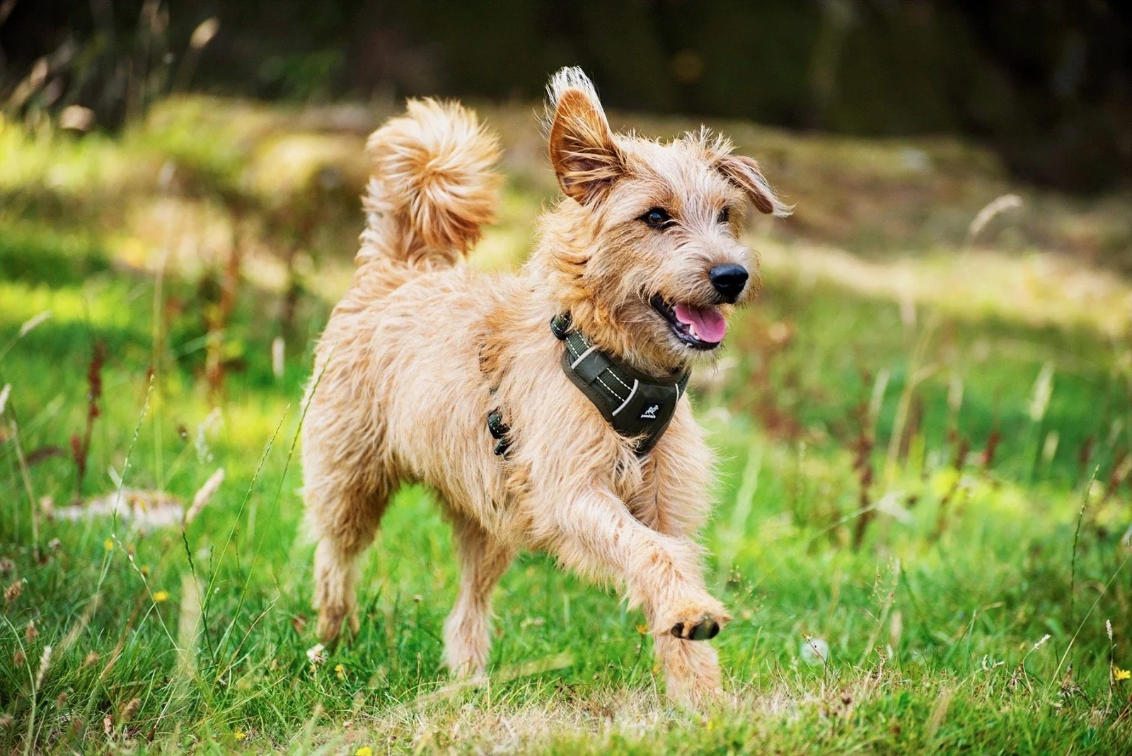 6dd399b4-b455-400f-b55d-f1c1939e9df5.JPEG