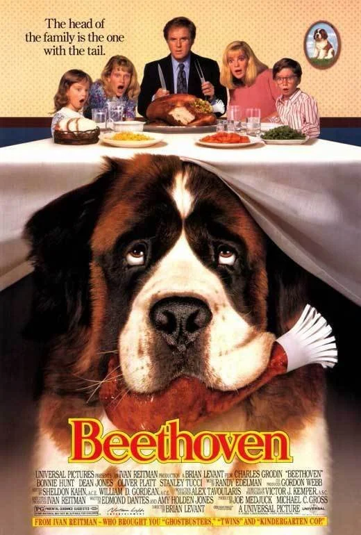 A dog wearing a costume with a puppet mouth, holding a turkey leg, in front of a movie poster for Beethoven, depicting a large Saint Bernard dog with humans around a dinner table.