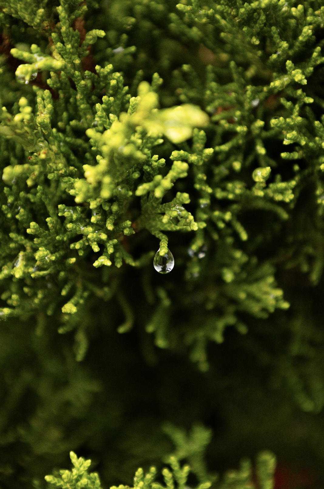 Screenshot 2026-01-09 at 6.56.39 PM.png