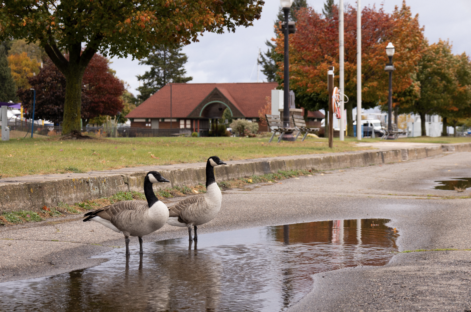 Screenshot 2026-01-09 at 6.59.01 PM.png