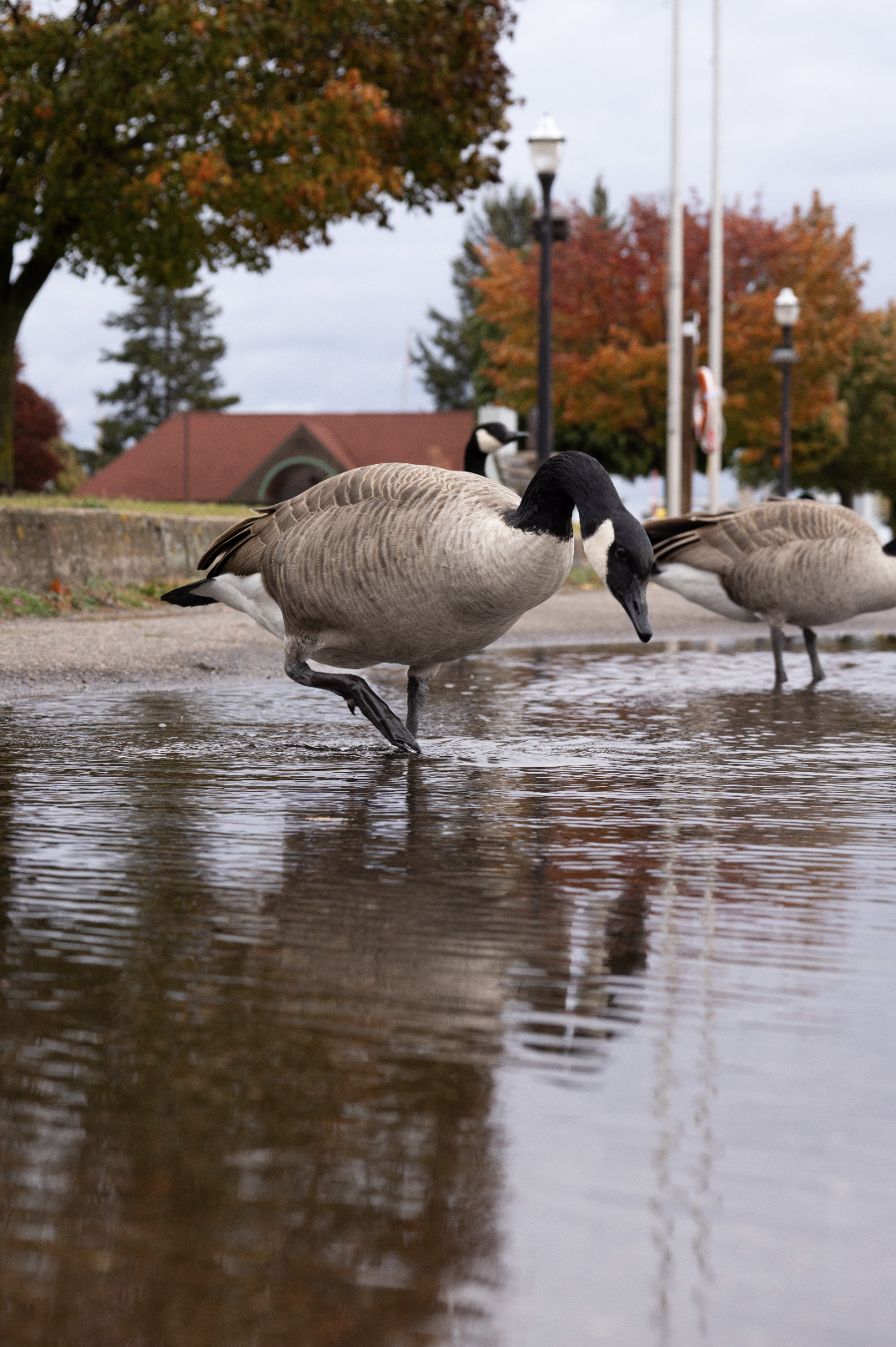 Screenshot 2026-01-09 at 7.08.02 PM.png