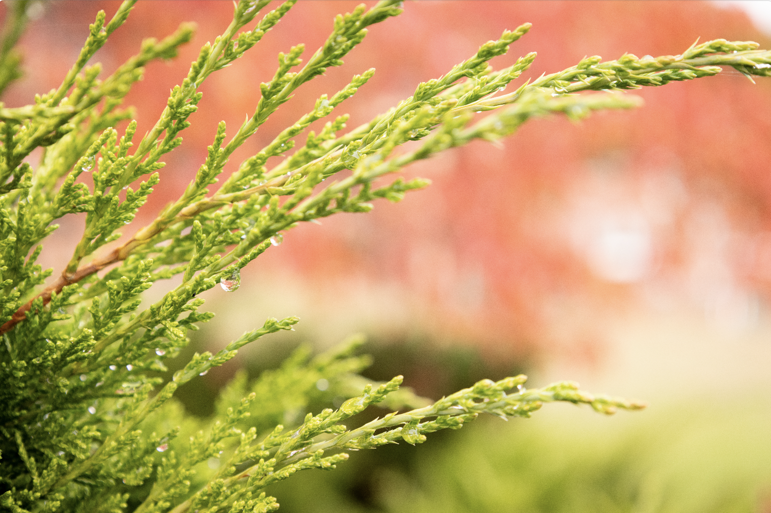 Screenshot 2026-01-09 at 6.56.47 PM.png