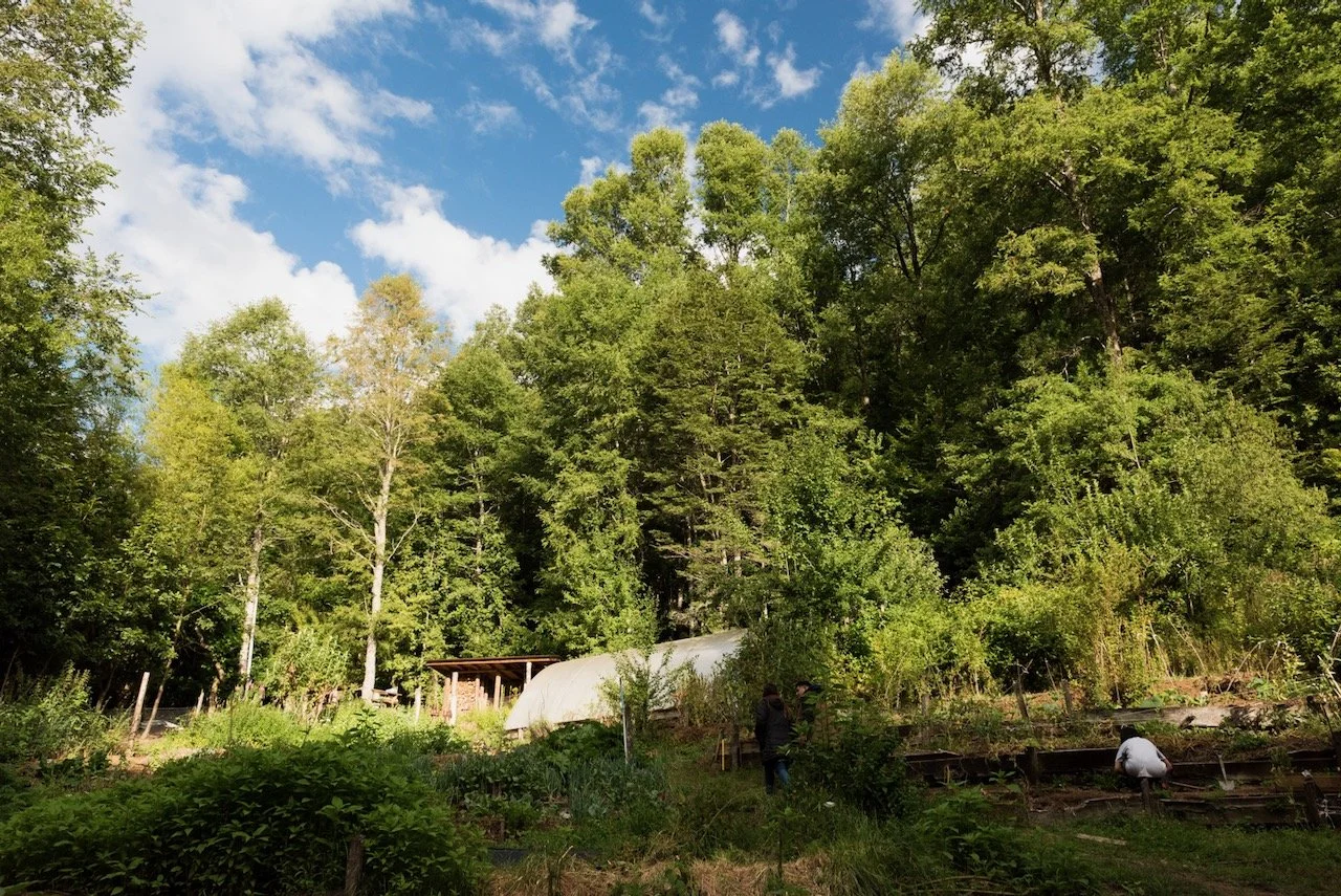 _DSC1198.jpeg