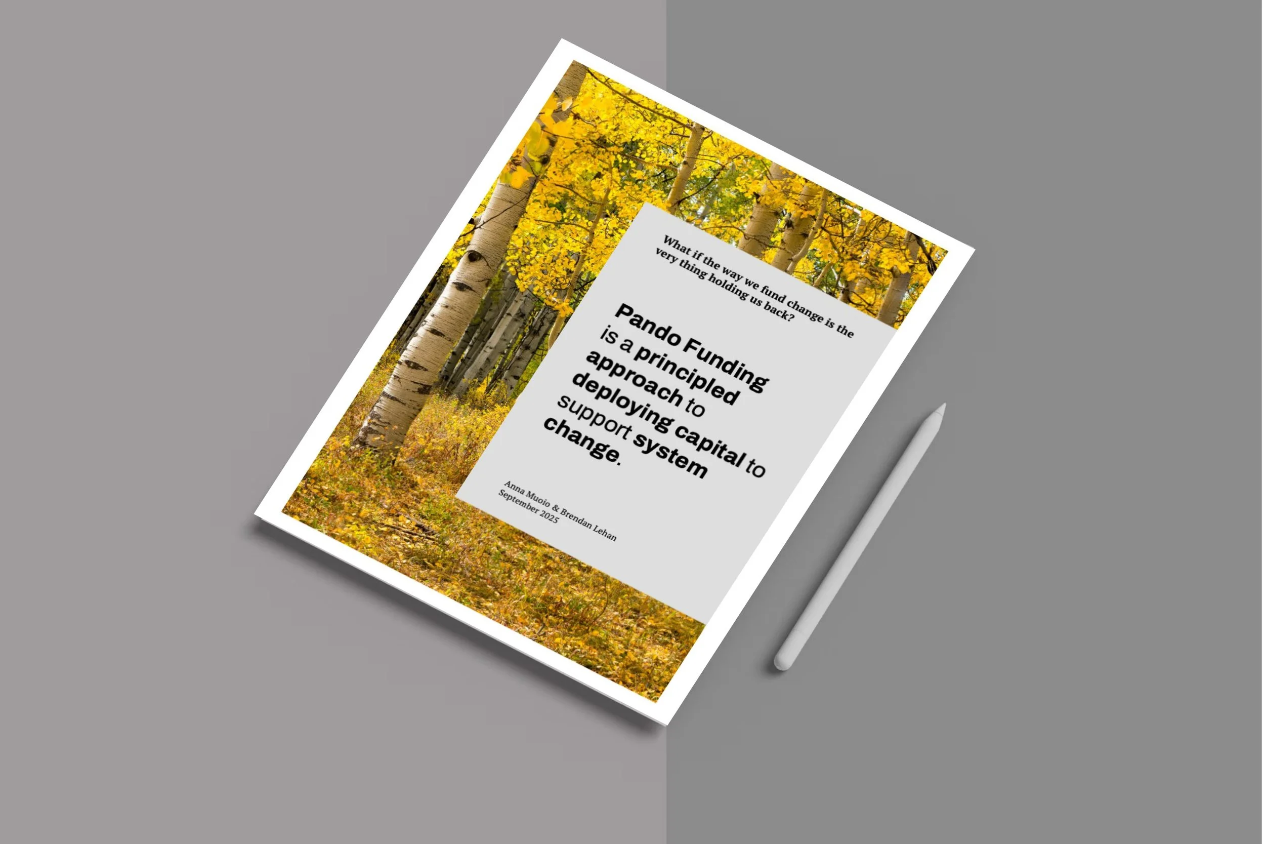 Image of report on table