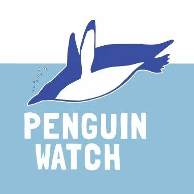 Logo with a penguin diving into water above the text 'PENGUIN WATCH'