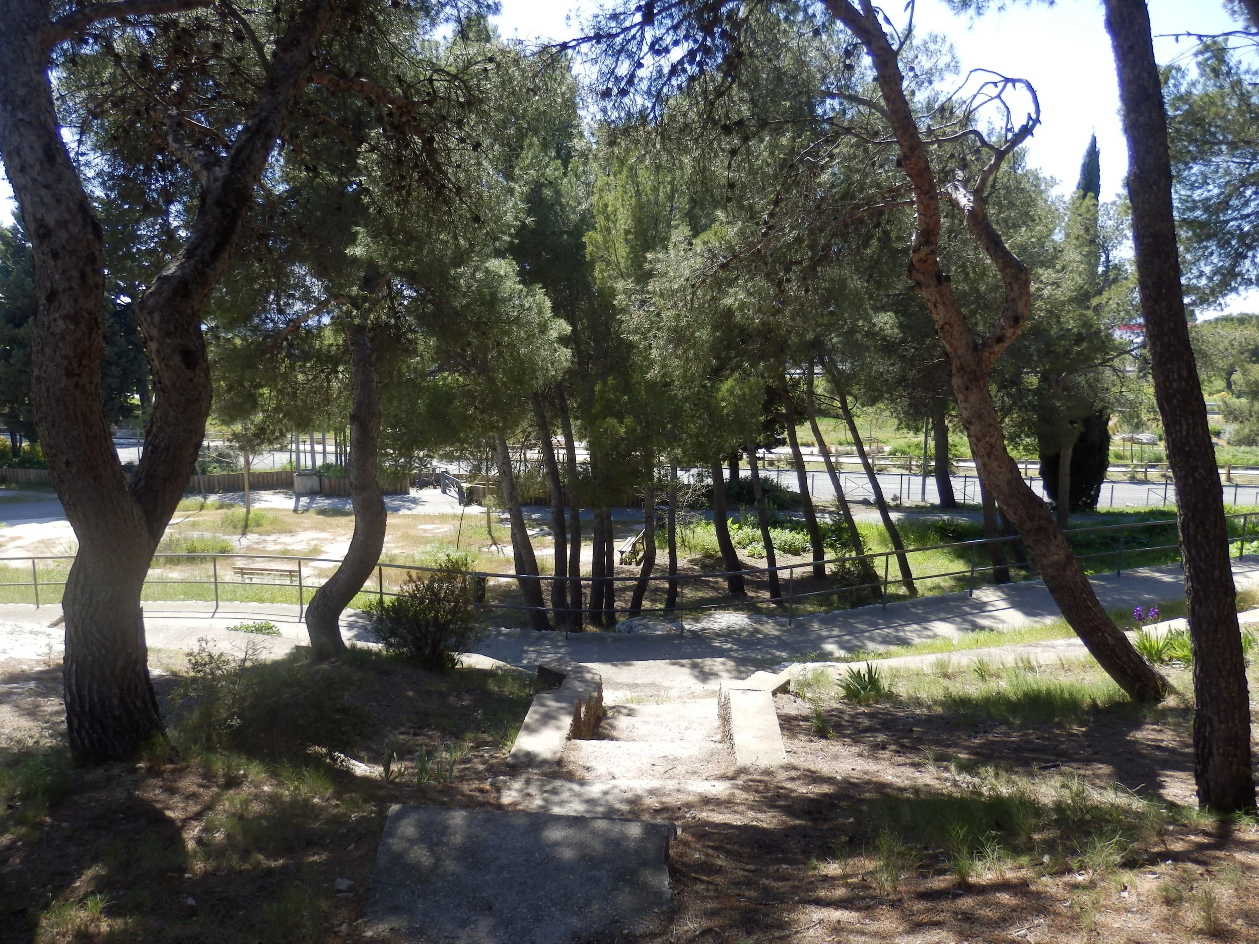 P4090280.JPG