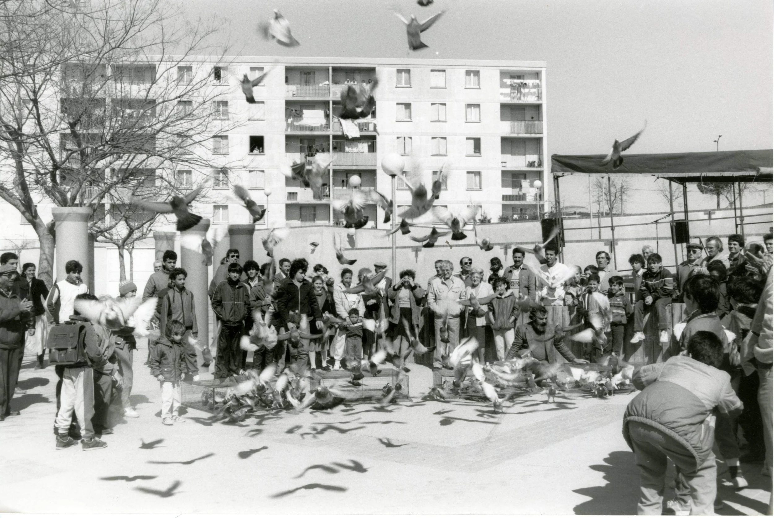 3Fi130-7 - Mas de Pouane.jpg